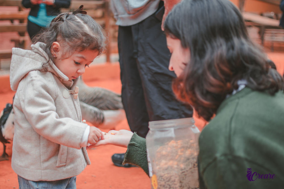 fotografia de aniversário de 2 anos de menina na Fazendinha Estação Natureza, no Ipiranga em São Paulo. Fotógrafo de aniversário infantil.  Decoração tema fazendinha.