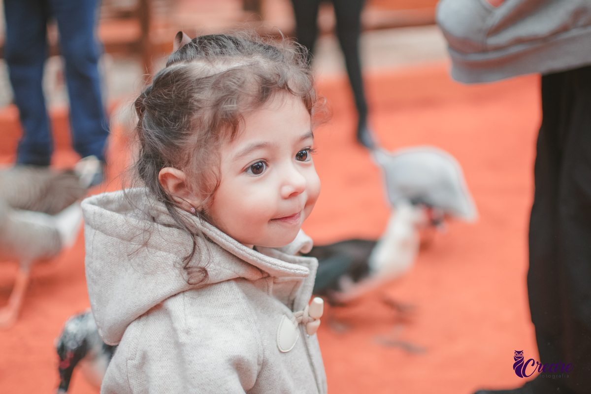 fotografia de aniversário de 2 anos de menina na Fazendinha Estação Natureza, no Ipiranga em São Paulo. Fotógrafo de aniversário infantil.  Decoração tema fazendinha.