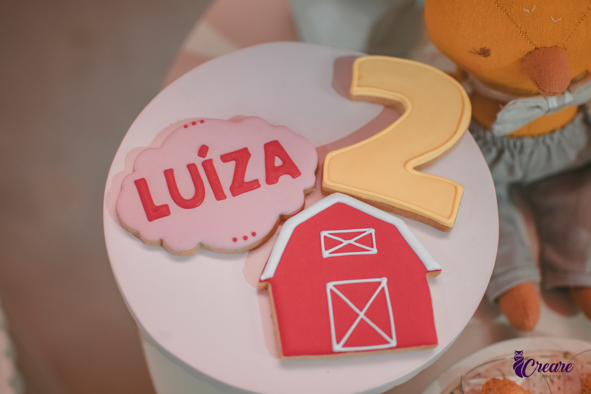 fotografia de aniversário de 2 anos de menina na Fazendinha Estação Natureza, no Ipiranga em São Paulo. Fotógrafo de aniversário infantil.  Decoração tema fazendinha.