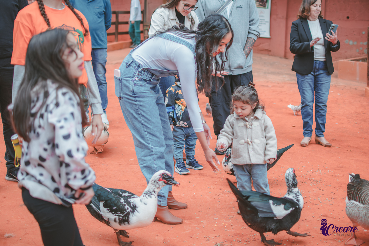 fotografia de aniversário de 2 anos de menina na Fazendinha Estação Natureza, no Ipiranga em São Paulo. Fotógrafo de aniversário infantil.  Decoração tema fazendinha.