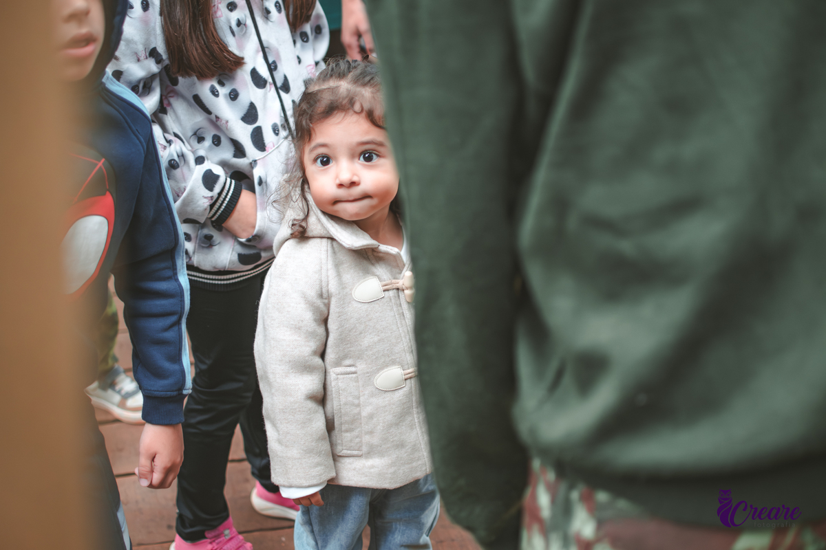 fotografia de aniversário de 2 anos de menina na Fazendinha Estação Natureza, no Ipiranga em São Paulo. Fotógrafo de aniversário infantil.  Decoração tema fazendinha.