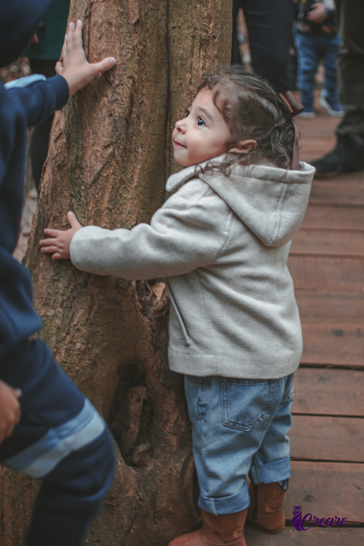 fotografia de aniversário de 2 anos de menina na Fazendinha Estação Natureza, no Ipiranga em São Paulo. Fotógrafo de aniversário infantil.  Decoração tema fazendinha.