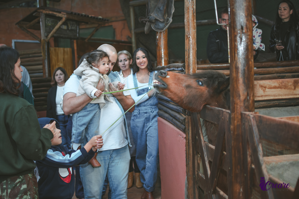fotografia de aniversário de 2 anos de menina na Fazendinha Estação Natureza, no Ipiranga em São Paulo. Fotógrafo de aniversário infantil.  Decoração tema fazendinha.