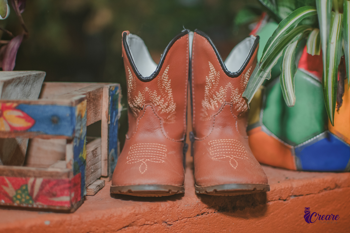 fotografia de aniversário de 2 anos de menina na Fazendinha Estação Natureza, no Ipiranga em São Paulo. Fotógrafo de aniversário infantil.  Decoração tema fazendinha.
