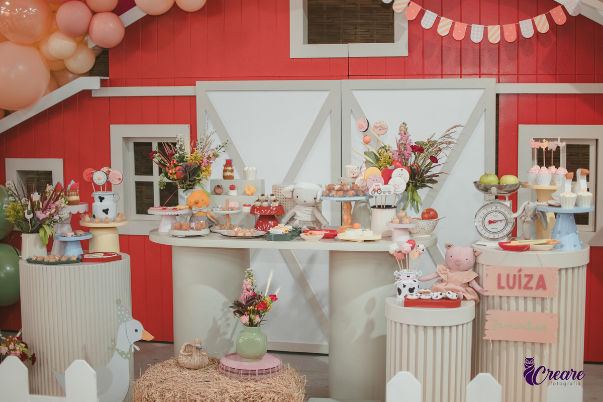 fotografia de aniversário de 2 anos de menina na Fazendinha Estação Natureza, no Ipiranga em São Paulo. Fotógrafo de aniversário infantil.  Decoração tema fazendinha.
