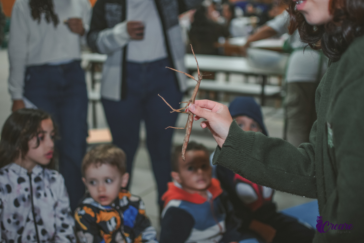 fotografia de aniversário de 2 anos de menina na Fazendinha Estação Natureza, no Ipiranga em São Paulo. Fotógrafo de aniversário infantil.  Decoração tema fazendinha.