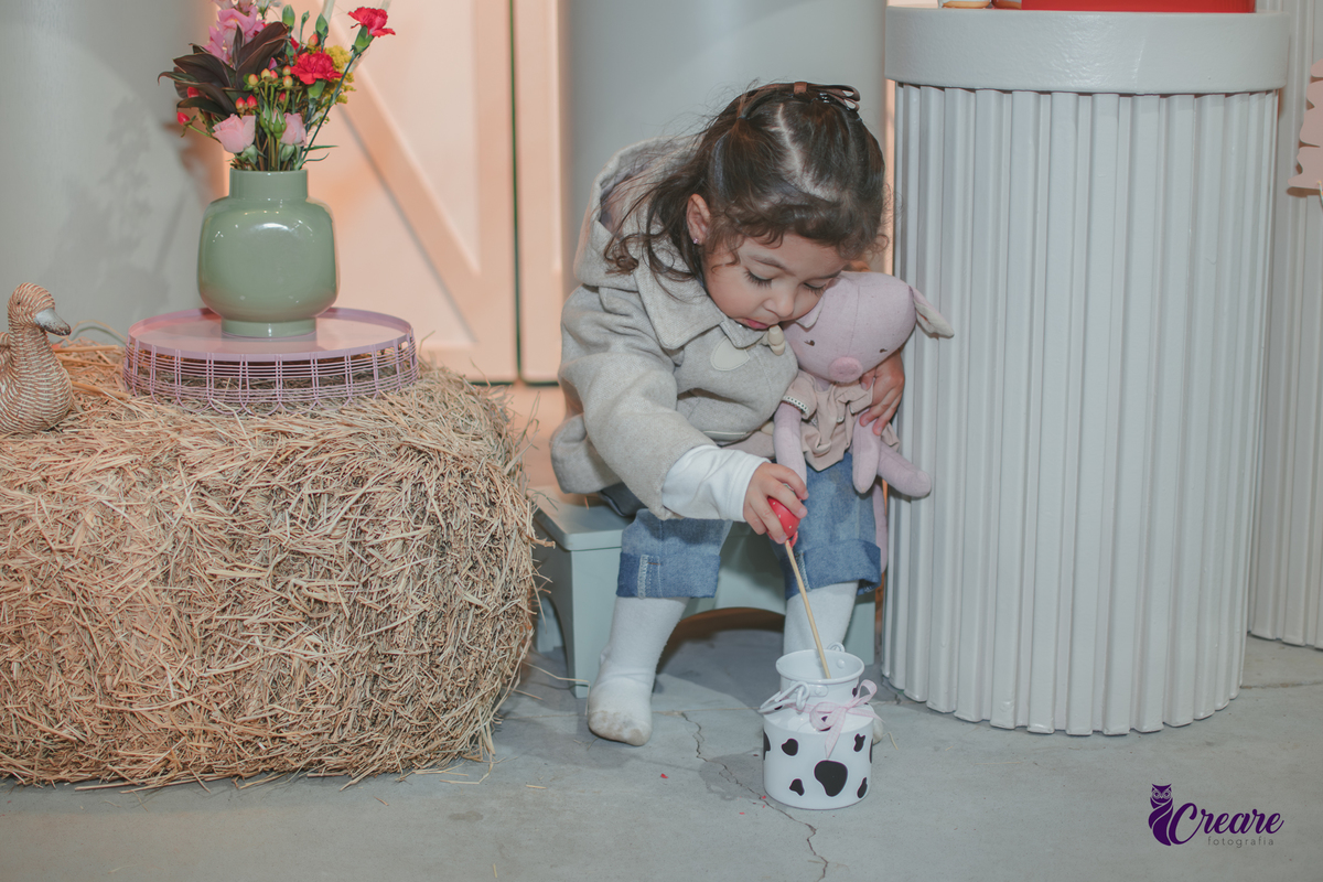 fotografia de aniversário de 2 anos de menina na Fazendinha Estação Natureza, no Ipiranga em São Paulo. Fotógrafo de aniversário infantil.  Decoração tema fazendinha.
