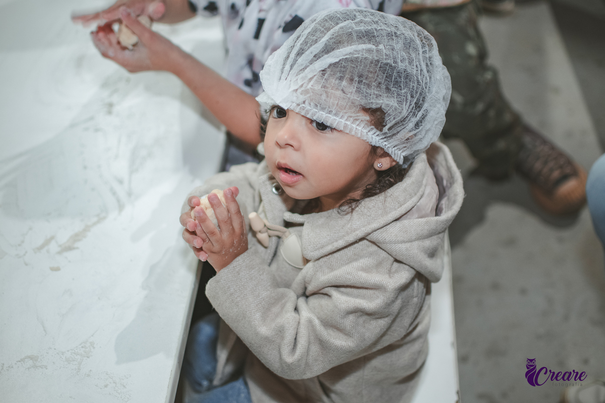 fotografia de aniversário de 2 anos de menina na Fazendinha Estação Natureza, no Ipiranga em São Paulo. Fotógrafo de aniversário infantil.  Decoração tema fazendinha.
