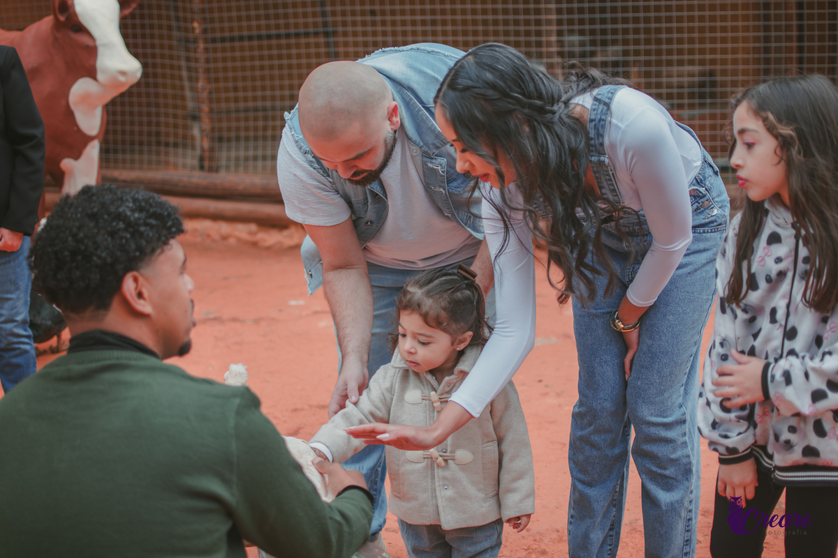fotografia de aniversário de 2 anos de menina na Fazendinha Estação Natureza, no Ipiranga em São Paulo. Fotógrafo de aniversário infantil.  Decoração tema fazendinha.