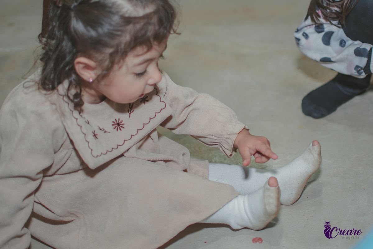 fotografia de aniversário de 2 anos de menina na Fazendinha Estação Natureza, no Ipiranga em São Paulo. Fotógrafo de aniversário infantil.  Decoração tema fazendinha.