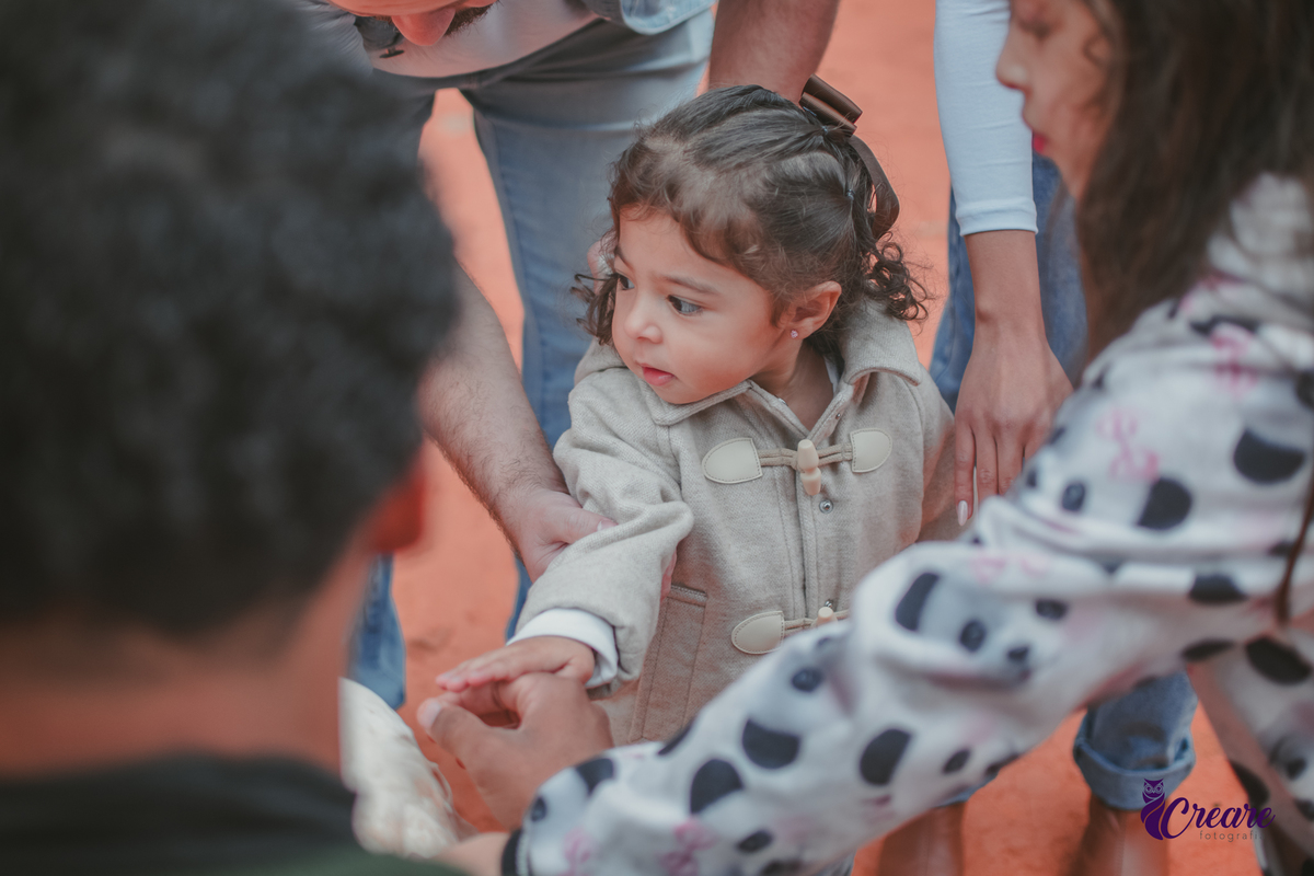 fotografia de aniversário de 2 anos de menina na Fazendinha Estação Natureza, no Ipiranga em São Paulo. Fotógrafo de aniversário infantil.  Decoração tema fazendinha.