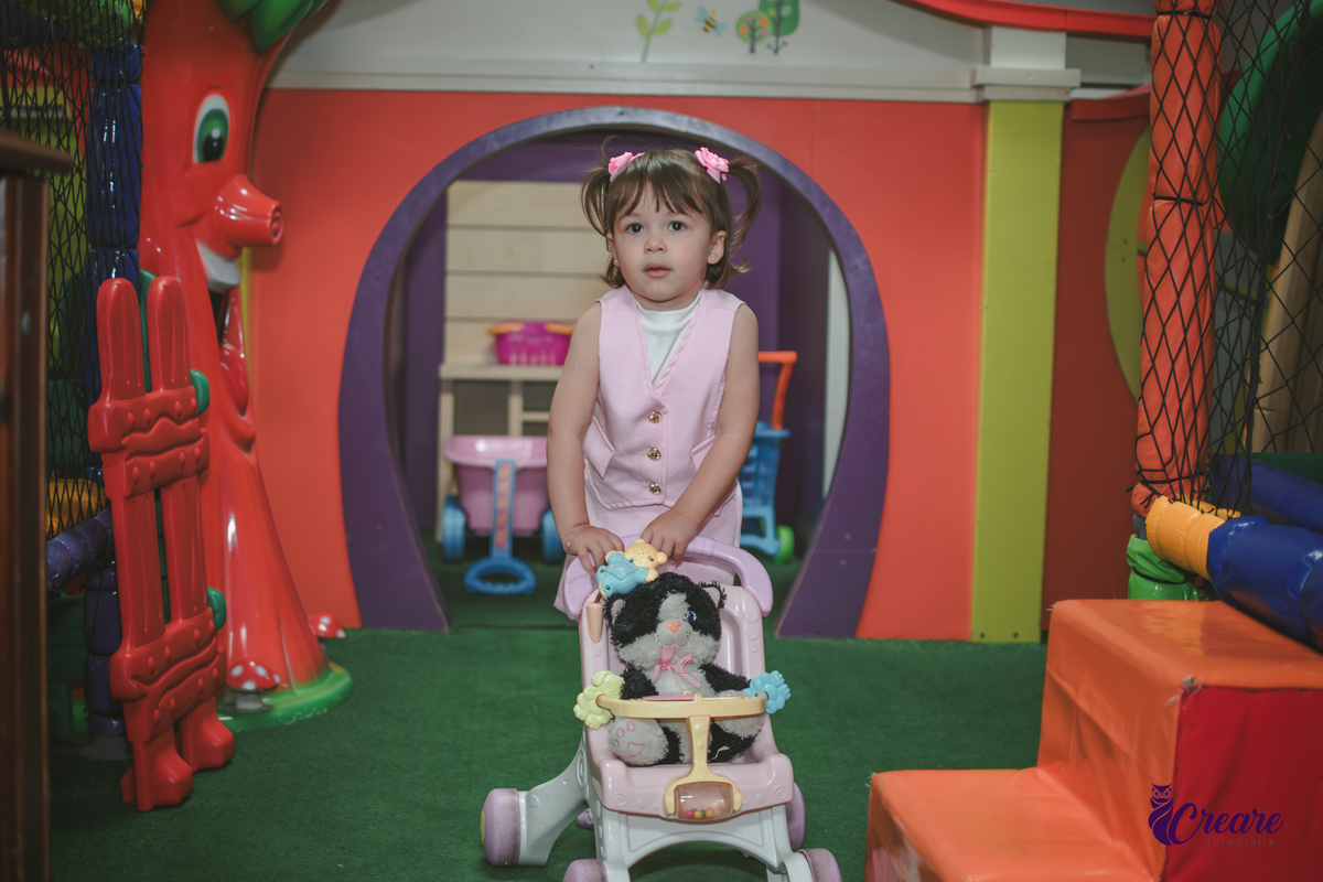 festa de aniversário infantil de menina de 3 anos, com tema Princesas no Buffet Algodão doce em Santo André, fotógrafo em Santo André.