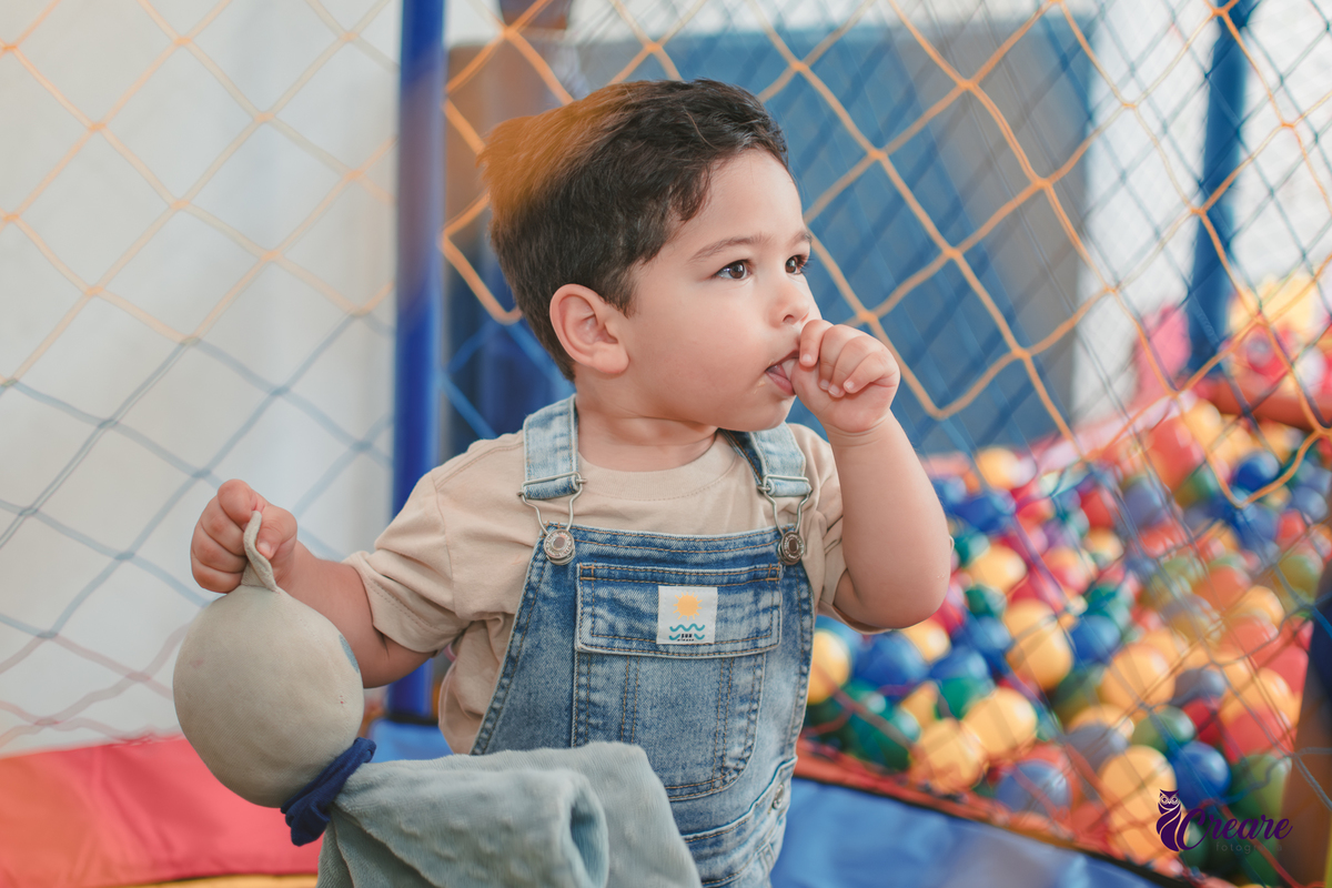 fotografia de aniversário de 2 anos, com decoração fazendinha, no buffet TIc Tac em Mauá. Fotógrafo em Mauá.