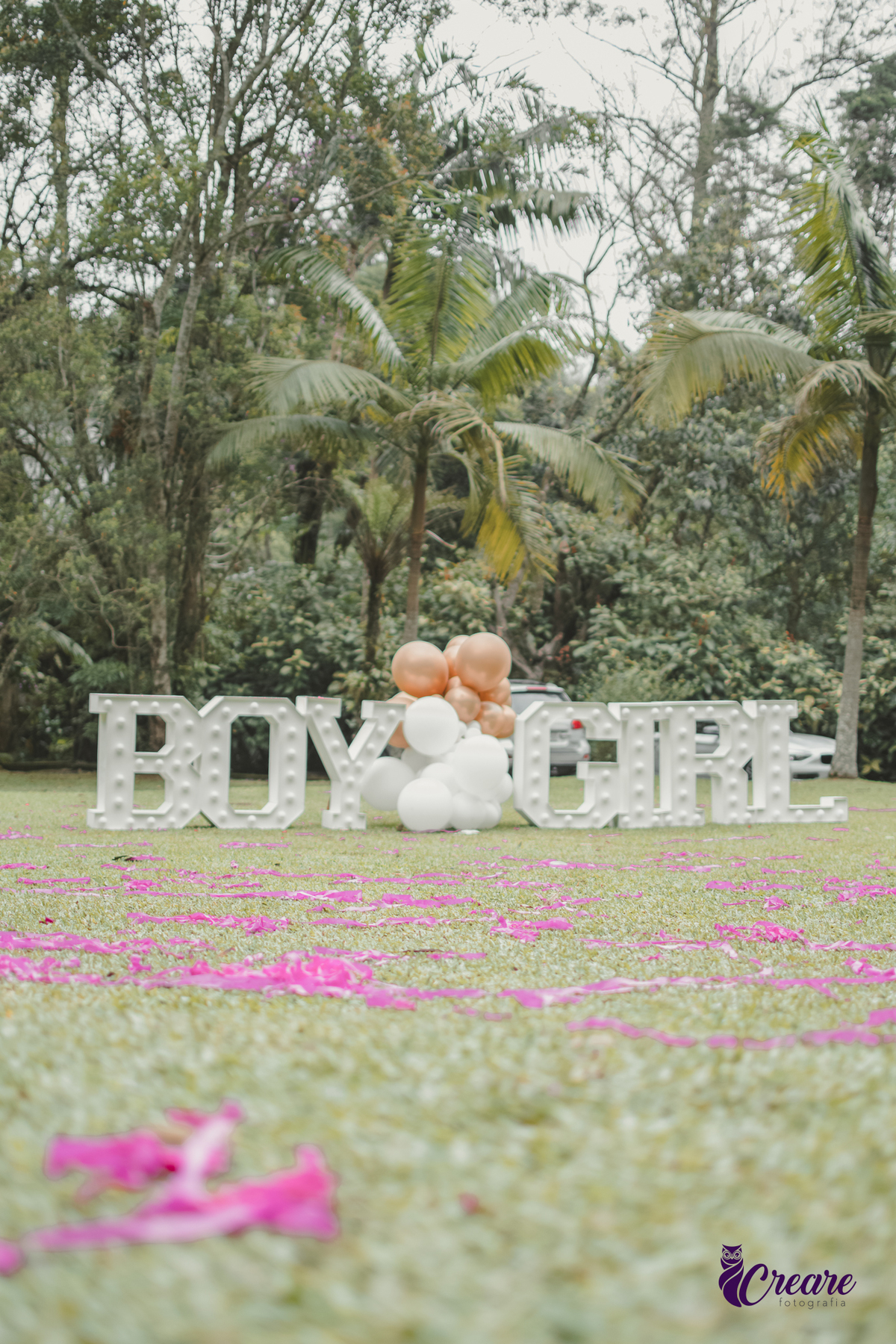 fotografia de chá revelação na chácara da Villa em São bernardo do Campo, fotógrafo em SBC, chá de bebê, gestante. decoração de chá revelação.  fotógrafo em Santo André.