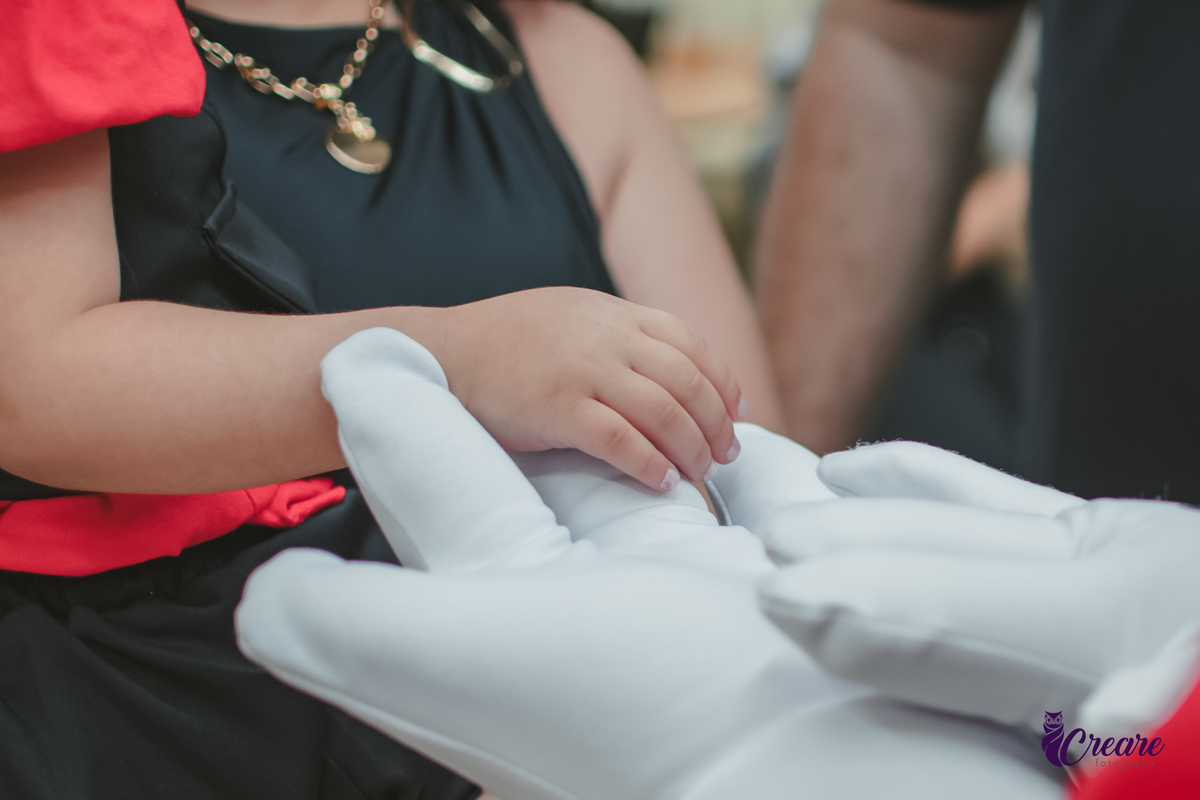 fotografia de aniversário de 3 anos com tema minnie, fotógrafo de festa infantil em São Bernardo do Campo.