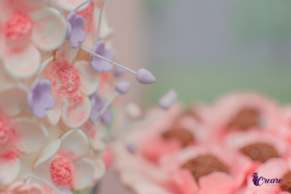 fotografia de aniversário de 1 aninho, festa com tema borboleta, aniversário de bebê de 1 ano, fotógrafo em Santo André.