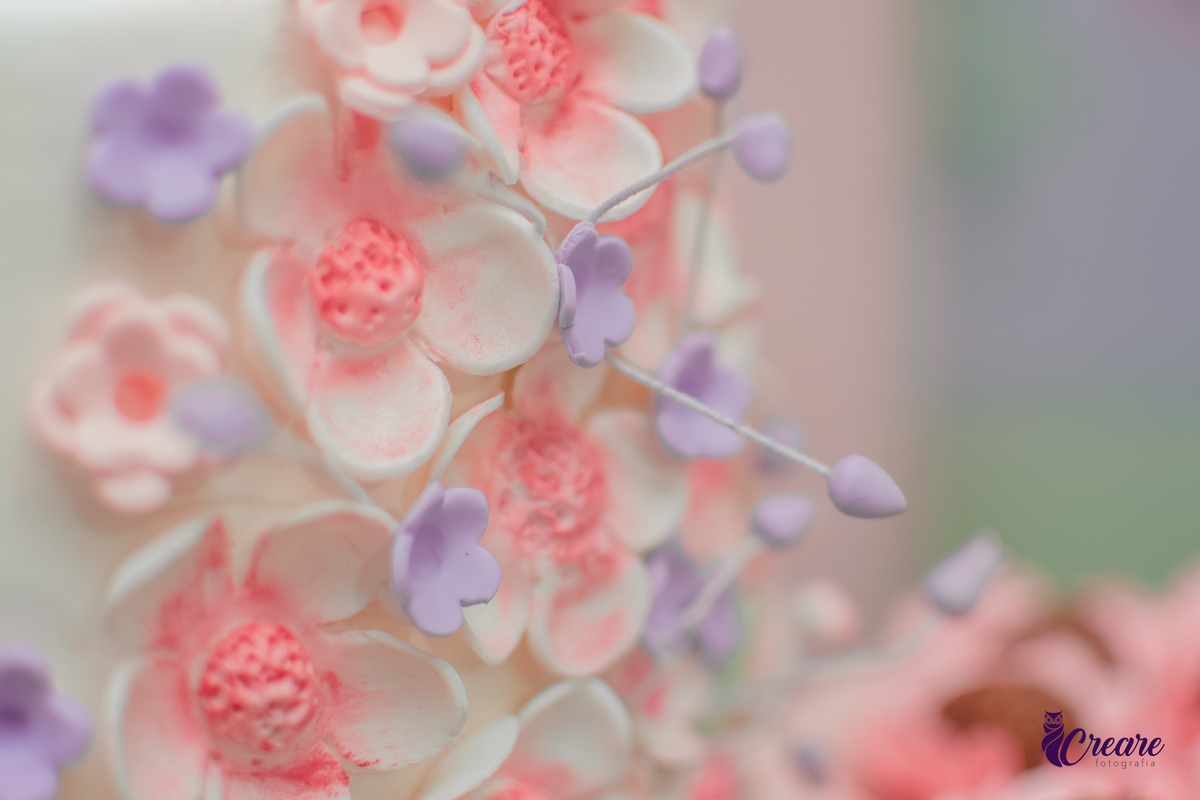fotografia de aniversário de 1 aninho, festa com tema borboleta, aniversário de bebê de 1 ano, fotógrafo em Santo André.