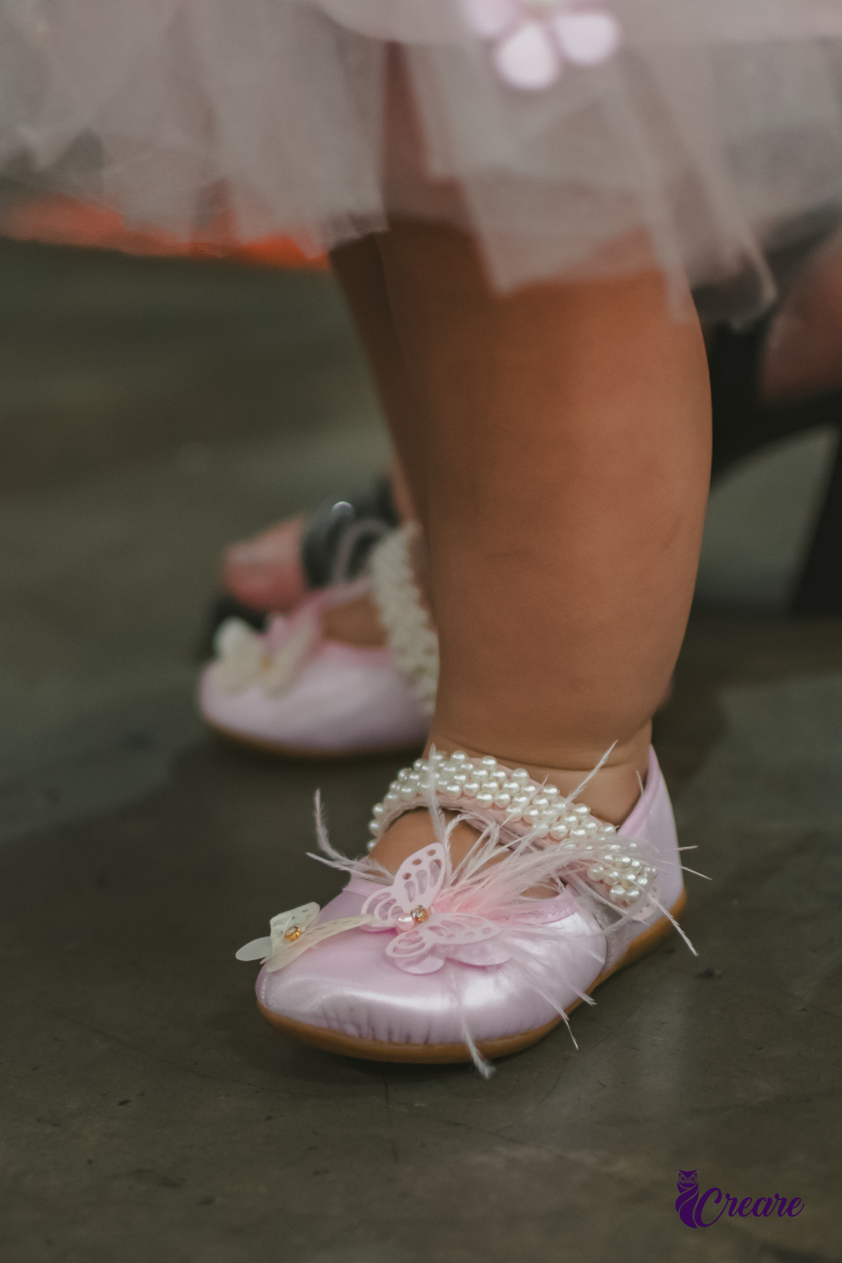 fotografia de aniversário de 1 aninho, festa com tema borboleta, aniversário de bebê de 1 ano, fotógrafo em Santo André.