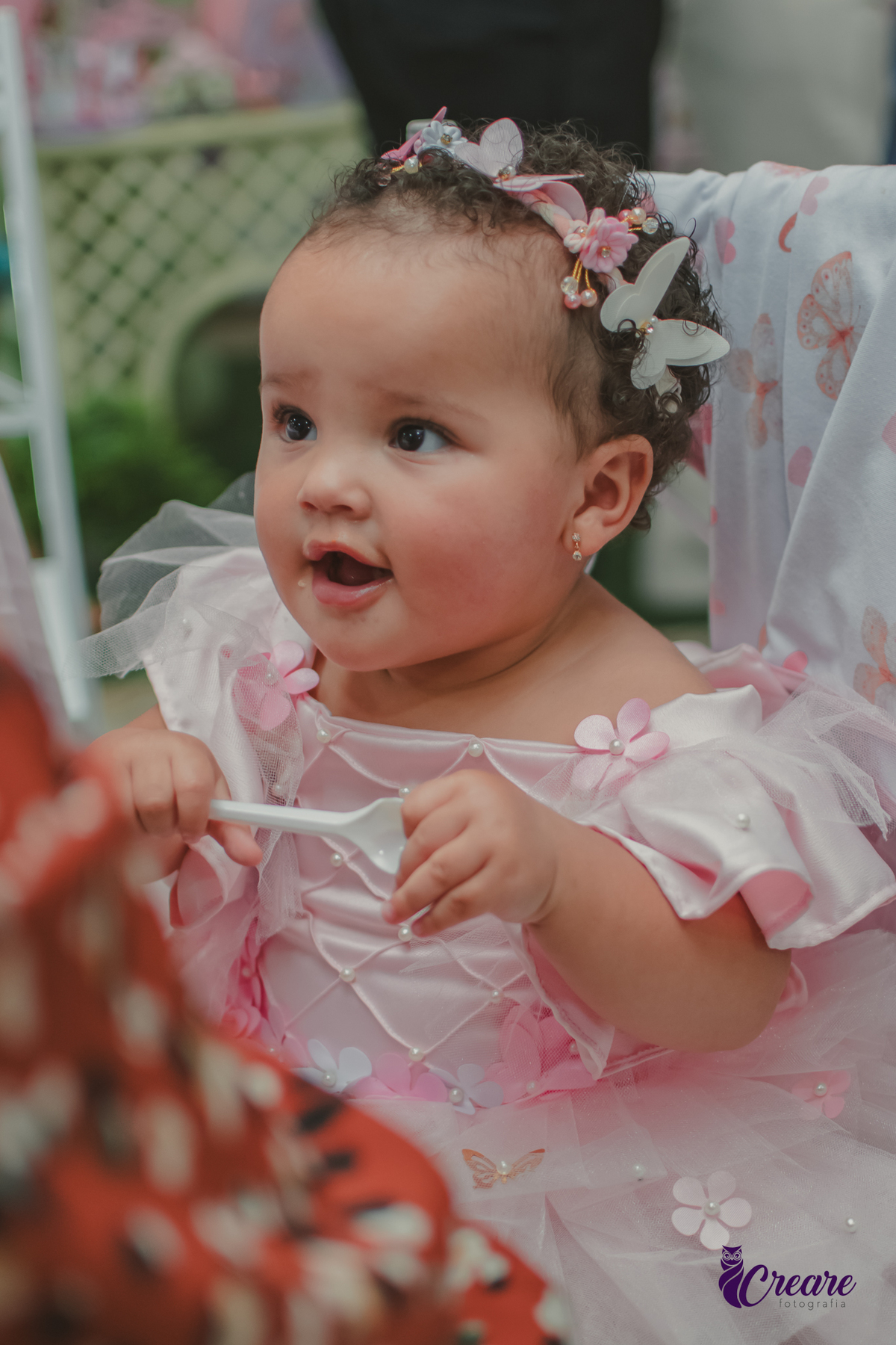 fotografia de aniversário de 1 aninho, festa com tema borboleta, aniversário de bebê de 1 ano, fotógrafo em Santo André.