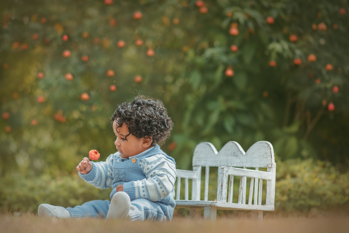 fotografia de ensaio de 1 ano, ensaio fotográfico de um aninho, cottagecore, fotografia artística, fotógrafo de ensaio de 1 ano em Santo André, fotógrafo em Mauá. Fotografia de 1 ano Smash the cake.