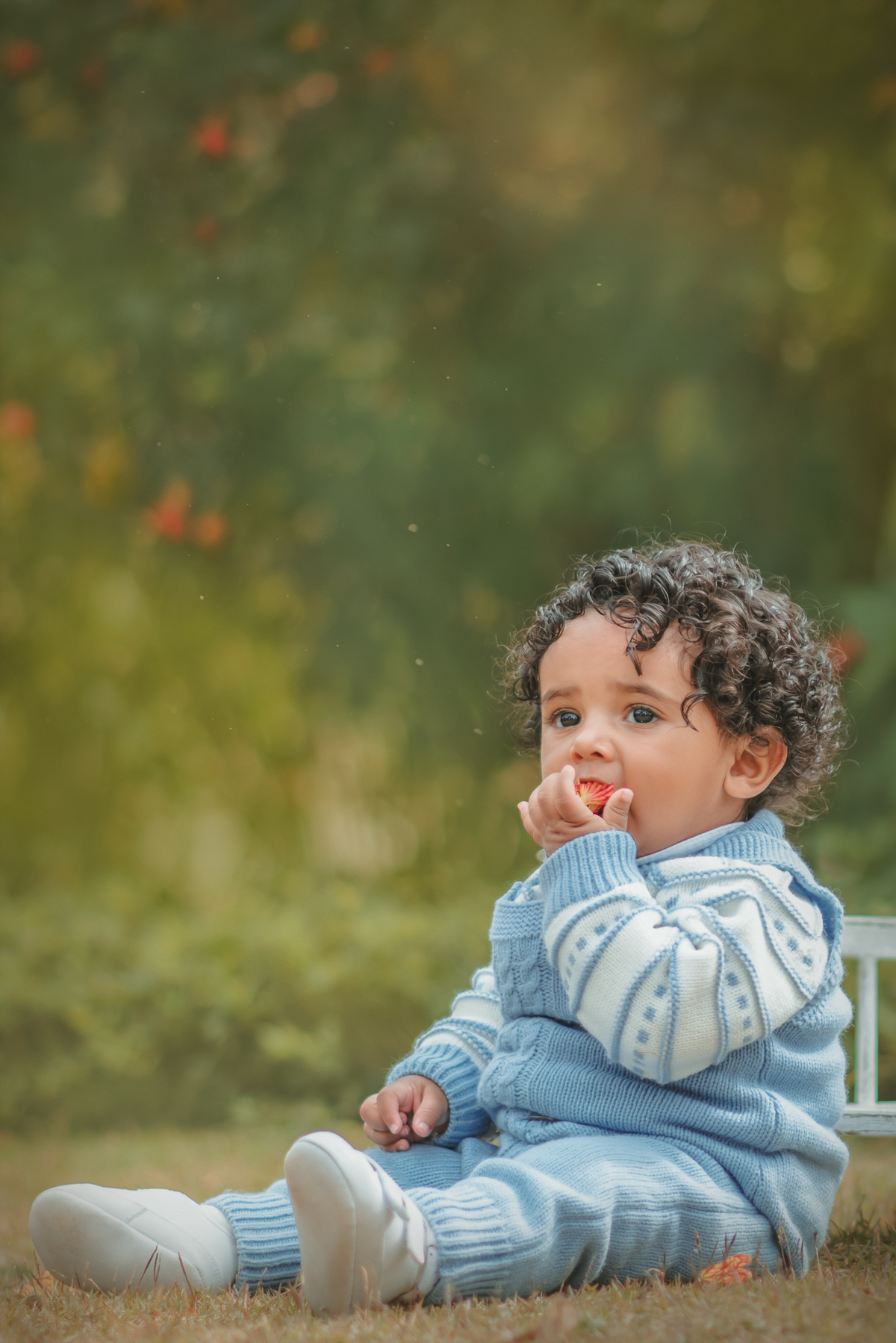 fotografia de ensaio de 1 ano, ensaio fotográfico de um aninho, cottagecore, fotografia artística, fotógrafo de ensaio de 1 ano em Santo André, fotógrafo em Mauá. Fotografia de 1 ano Smash the cake.