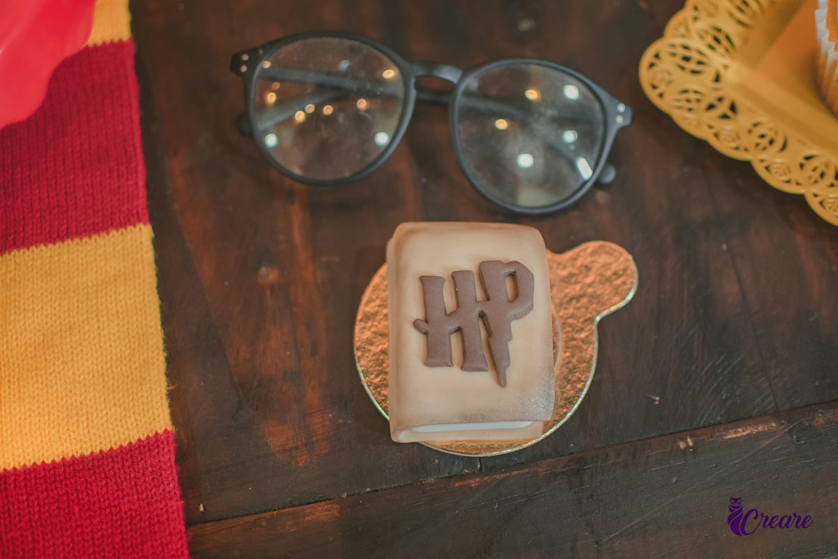 Fotografia de aniversário infantil, festa de 8 anos com tema Harry Potter. Festa infantil no Buffet Espaço Villas Kidas em São Bernardo do Campo. Fotógrafo.