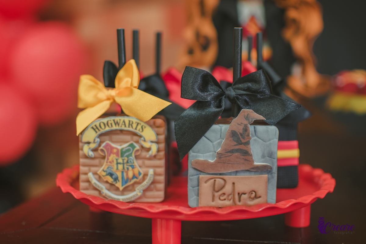 Fotografia de aniversário infantil, festa de 8 anos com tema Harry Potter. Festa infantil no Buffet Espaço Villas Kidas em São Bernardo do Campo. Fotógrafo.