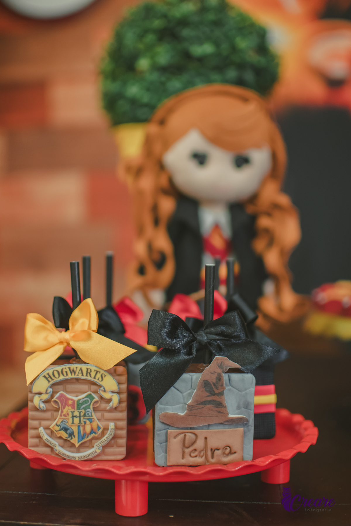 Fotografia de aniversário infantil, festa de 8 anos com tema Harry Potter. Festa infantil no Buffet Espaço Villas Kidas em São Bernardo do Campo. Fotógrafo.