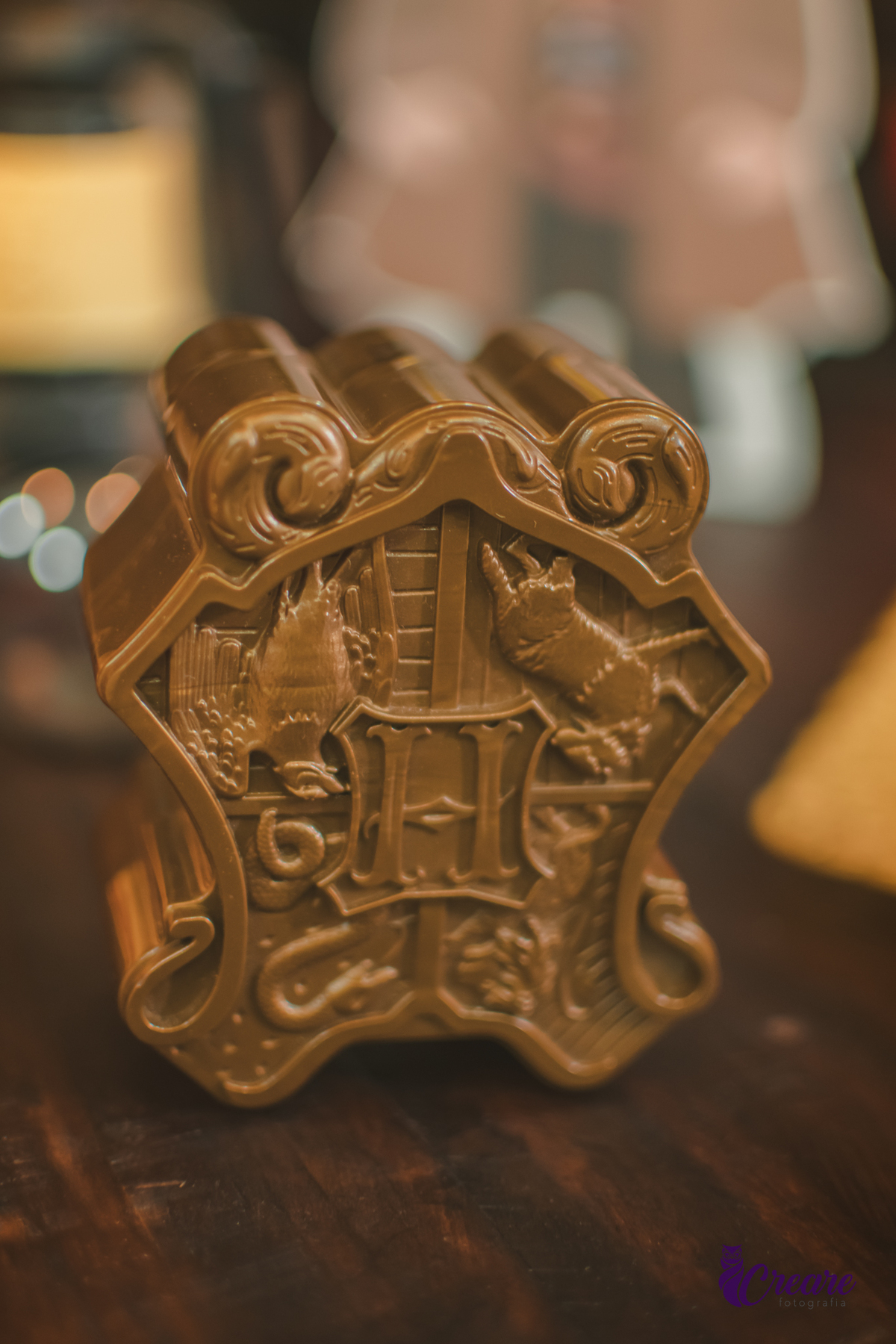 Fotografia de aniversário infantil, festa de 8 anos com tema Harry Potter. Festa infantil no Buffet Espaço Villas Kidas em São Bernardo do Campo. Fotógrafo.