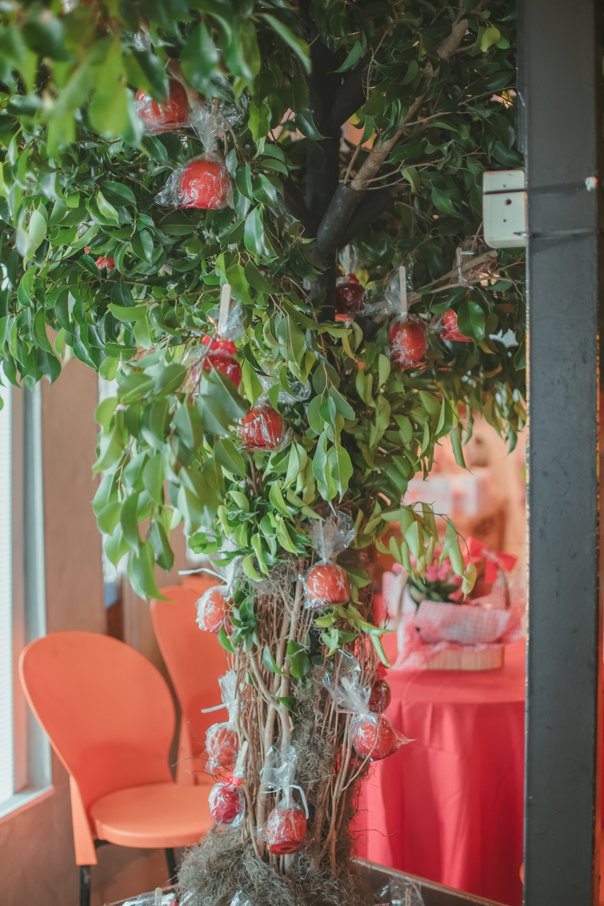 árvore com maçã do amor penduradas em um buffet de festa de aniversário infantil.