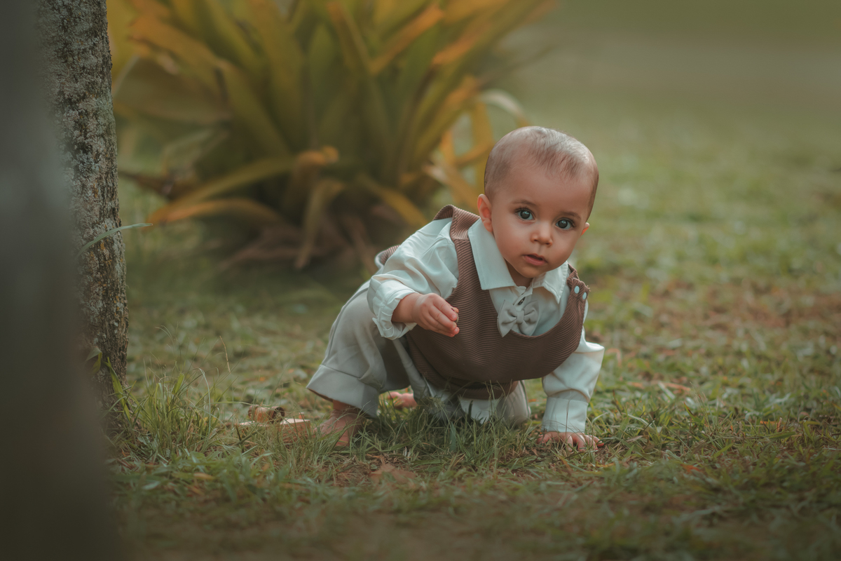 Um bebê sentado na grama, ao lado de uma árvore e brincando com um carrinho de madeira, durante seu fotográfico de 1 ano.
