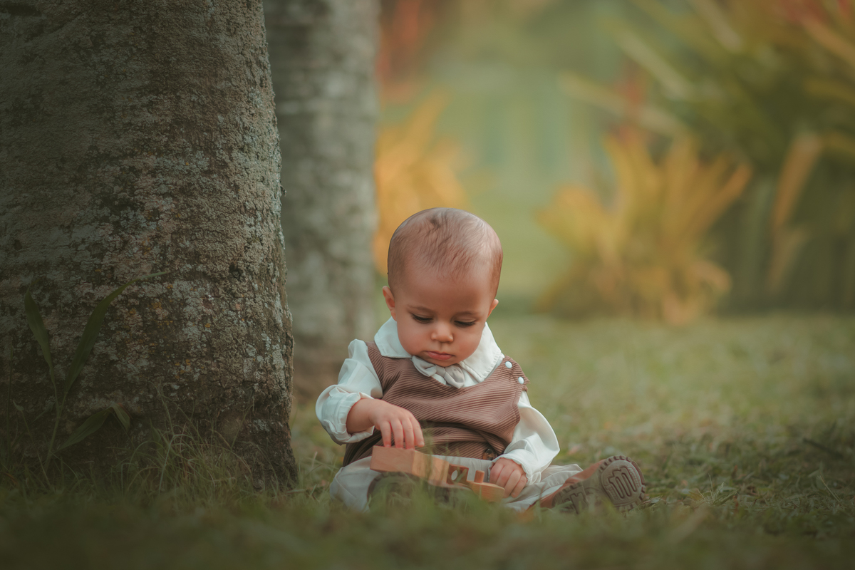 Um bebê sentado na grama, ao lado de uma árvore e brincando com um carrinho de madeira, durante seu fotográfico de 1 ano.