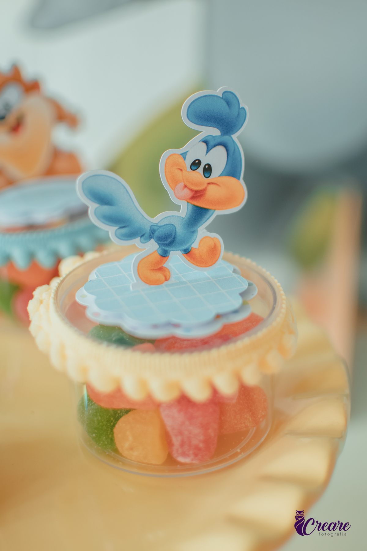 DOcinho de festa infantil personalizado com o Papa Léguas do desenho looney Tunes.