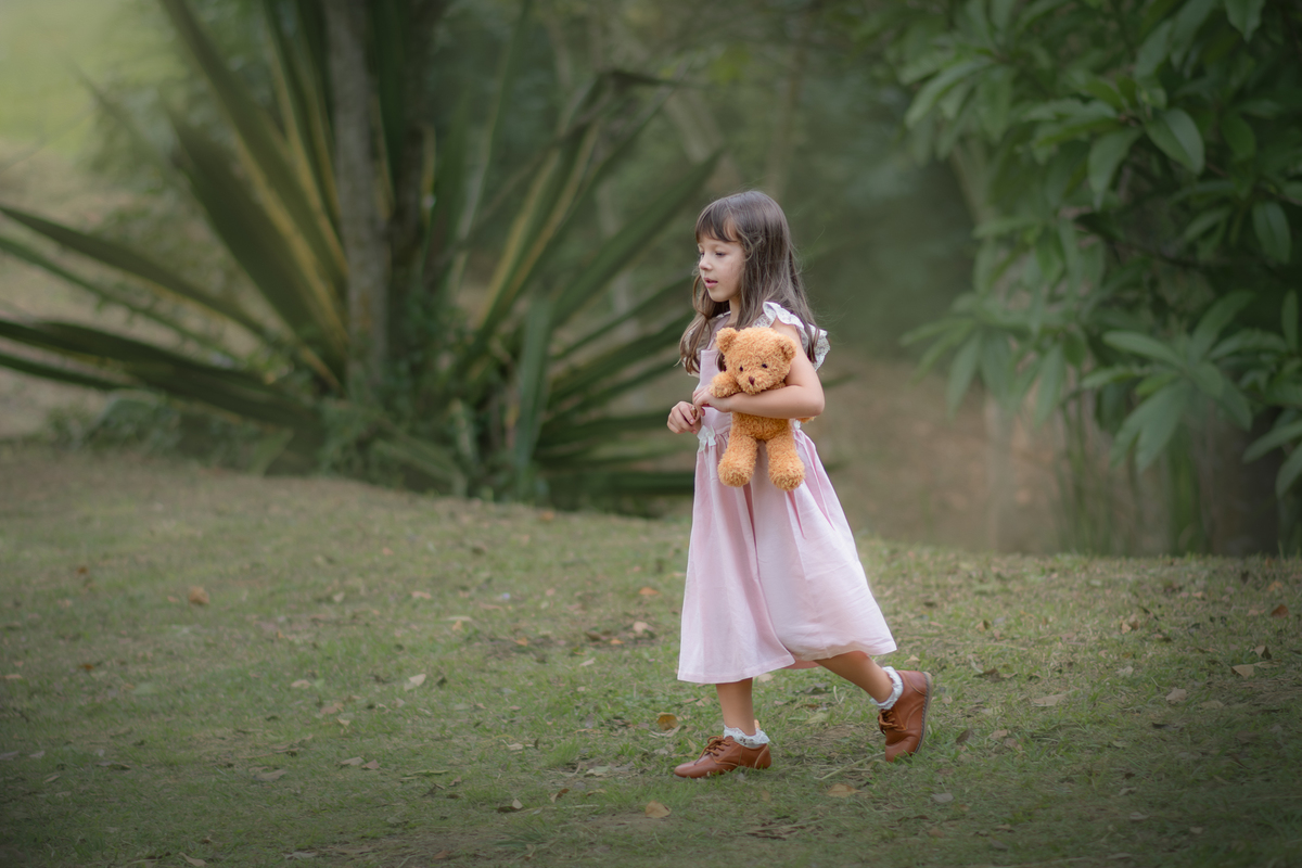Uma crianças usando um vestido rosa bem estilo camponesa e brincando com um ursinho de pelúcia marrom e sua cachorra Border Collie, em um parque, durante seu ensaio artistico.