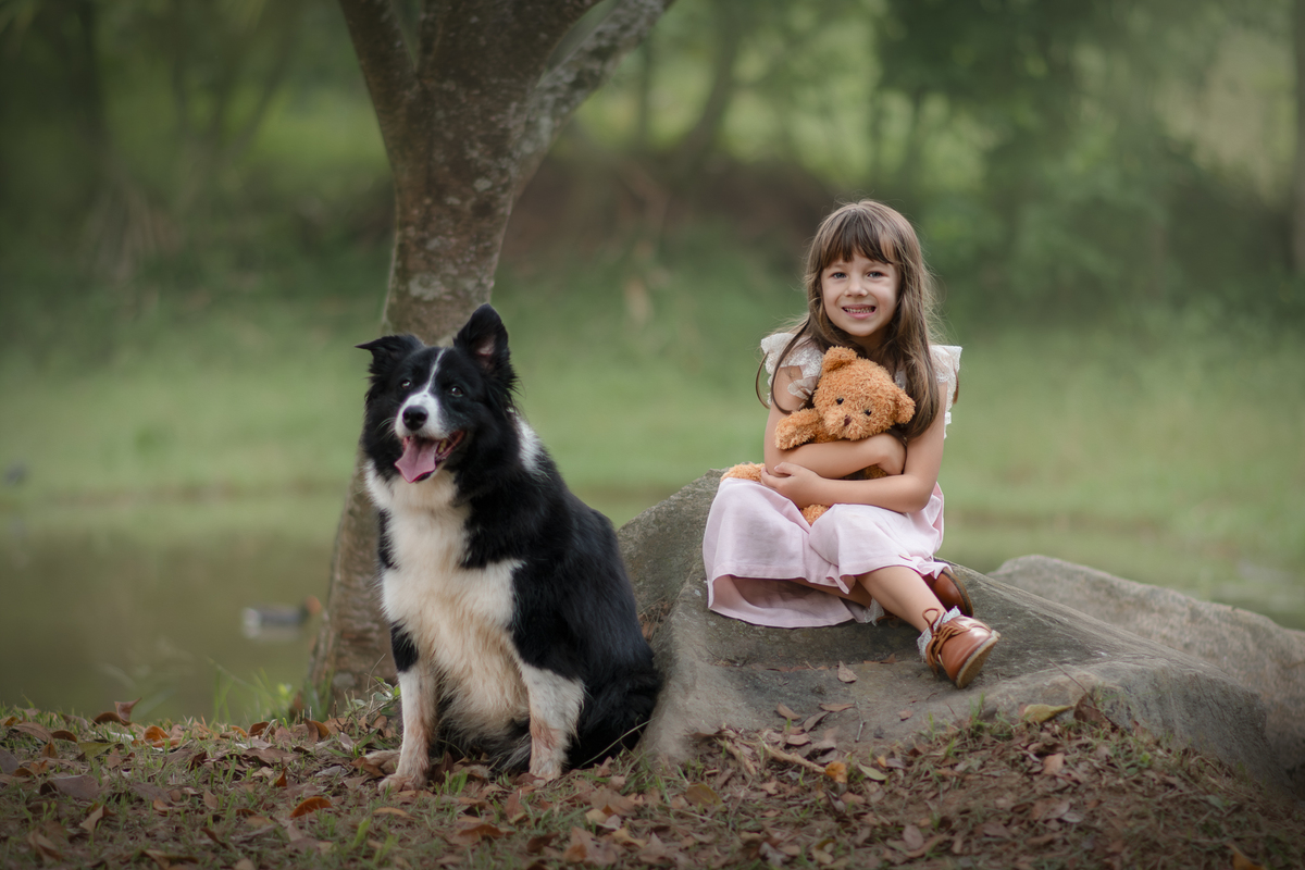 Uma crianças usando um vestido rosa bem estilo camponesa e brincando com um ursinho de pelúcia marrom e sua cachorra Border Collie, em um parque, durante seu ensaio artistico.