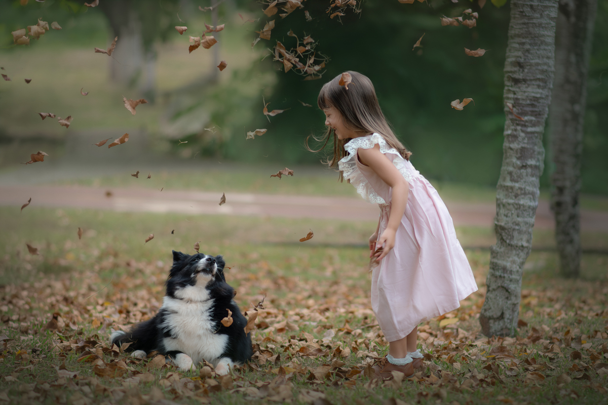 Uma criança usando uma roupa rosa e brincando de jogar folha para a ar com a sua cachorrar Border Collie, durante ensaio fotográfico artístico.
