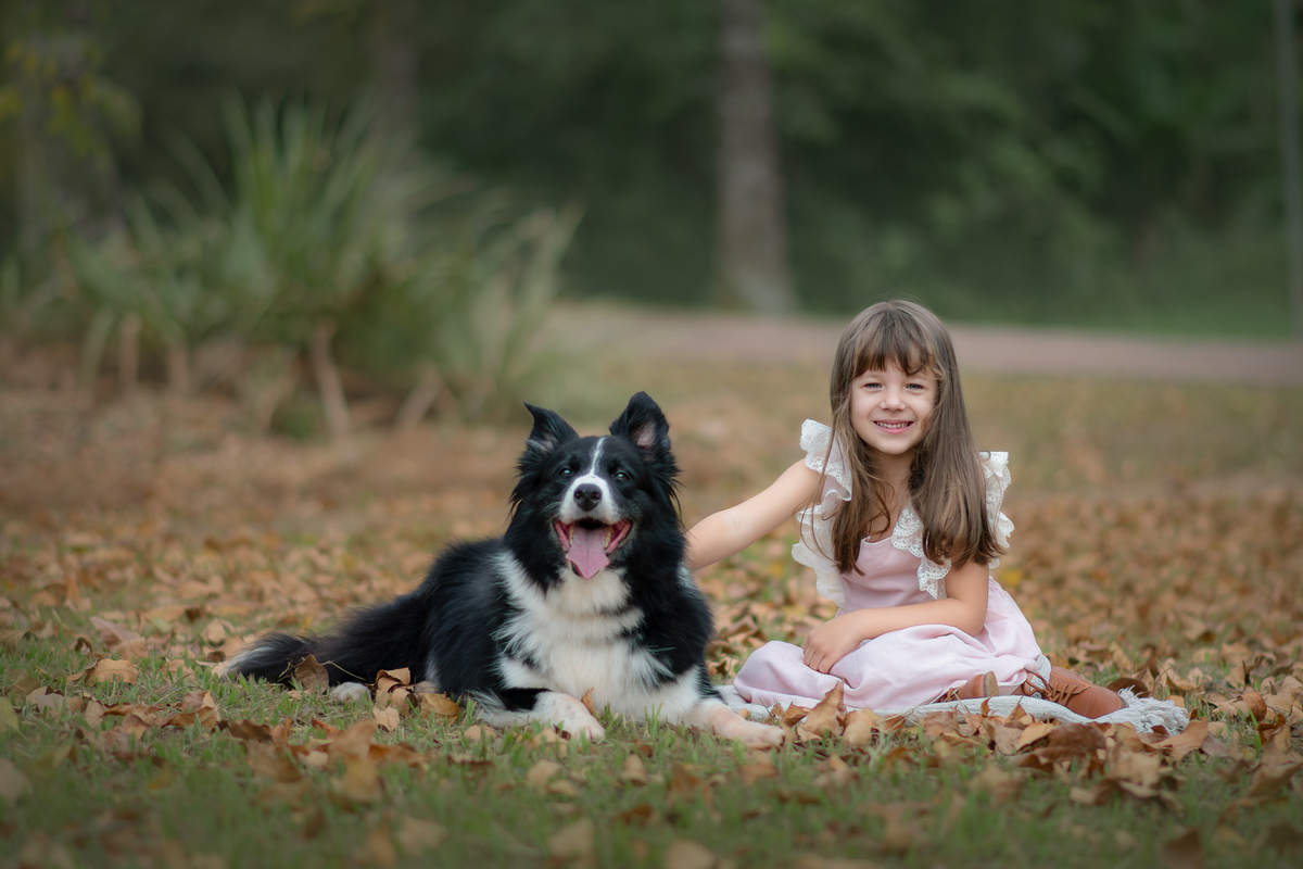 Uma criança usando uma roupa rosa e brincando de jogar folha para a ar com a sua cachorrar Border Collie, durante ensaio fotográfico artístico.