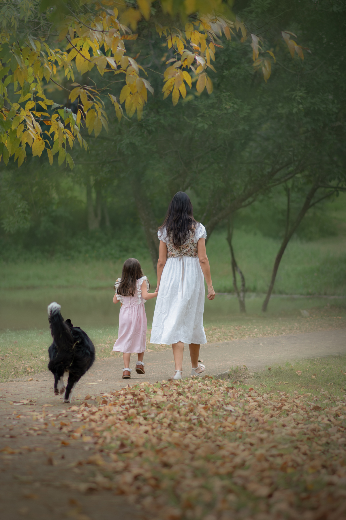 Uma família composta por uma mulher, uma criança e uma Border Collie  caminhando de costas em um parque., durante ensaio fotográfico infantil.