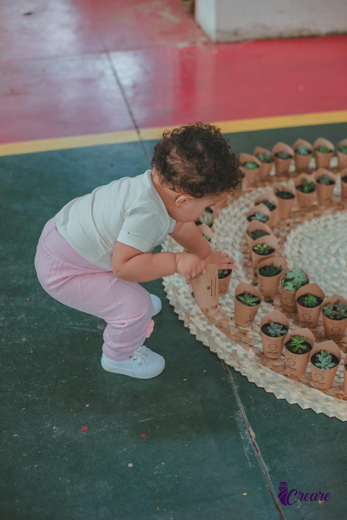 Um bebê de 1 aninho brincando com as suculentas de lembrancinha durante seu aniversário de 1 ano.