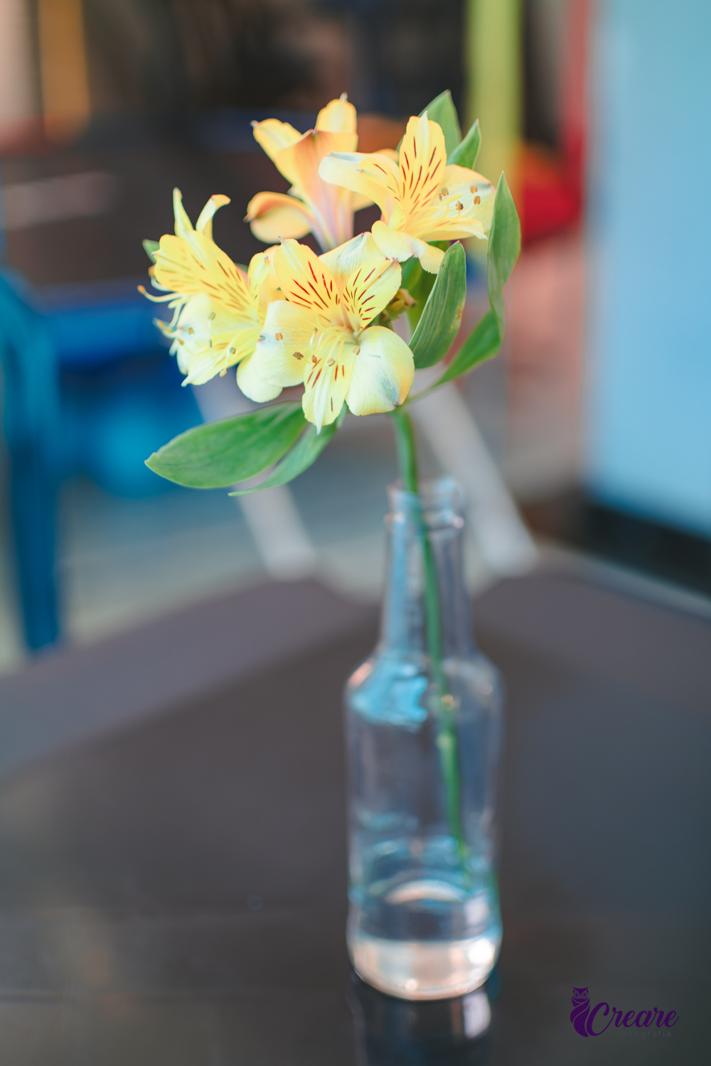 garrafa com uma flore amarela, no centro de uma mesa como parte da decoração de uma festa infantil. 