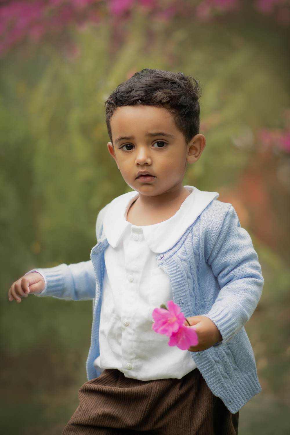 Um menino segurando uma flor rosa, durante seu ensaio fotográfico de 2 anos.