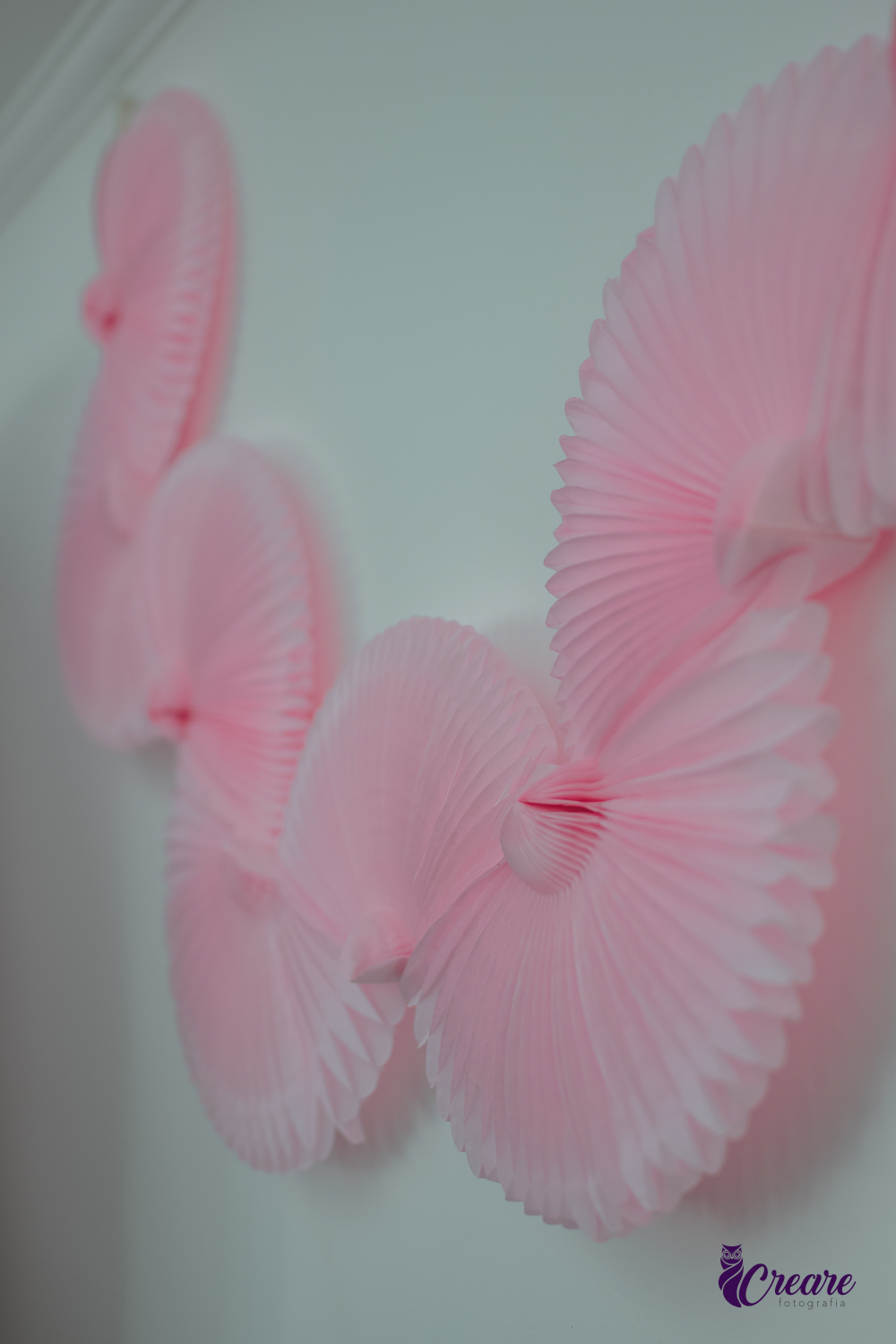 Detalhes de decoração de aniversário de 1 ano.