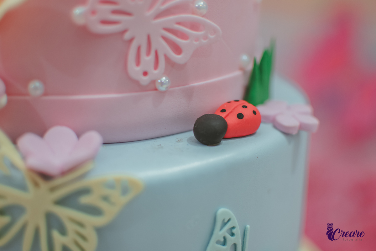 Detalhes de um bolo de aniversário com uma joaninha, borboletas e flores.