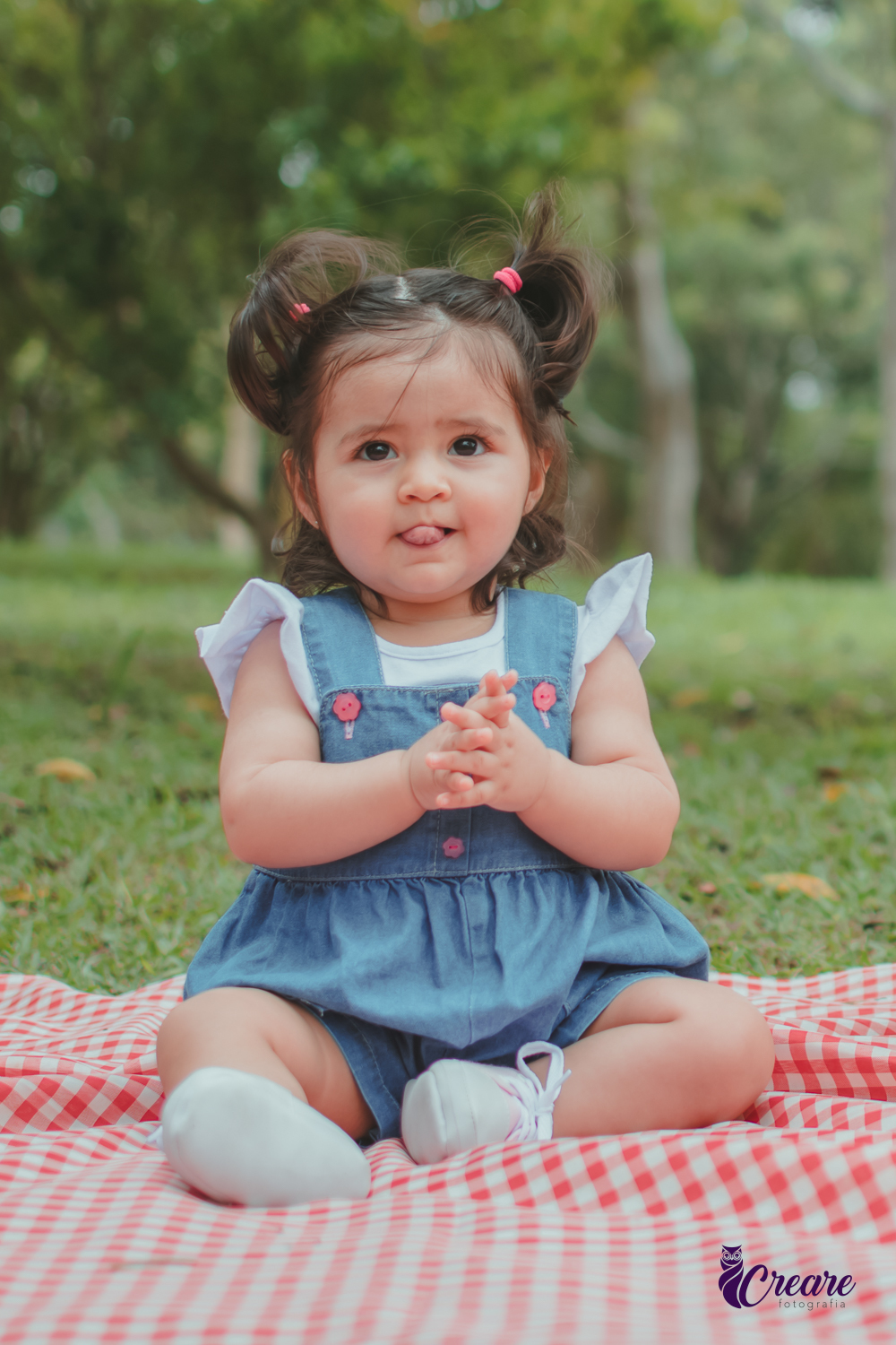 Bebê de jardineira azul sentada sobre uma toalha vermelha de piquenique, ao lado de um balão de número 1 e uma cesta de piquenique, durante a comemoração de seu primeiro aniversário no Parque Central de Santo André.