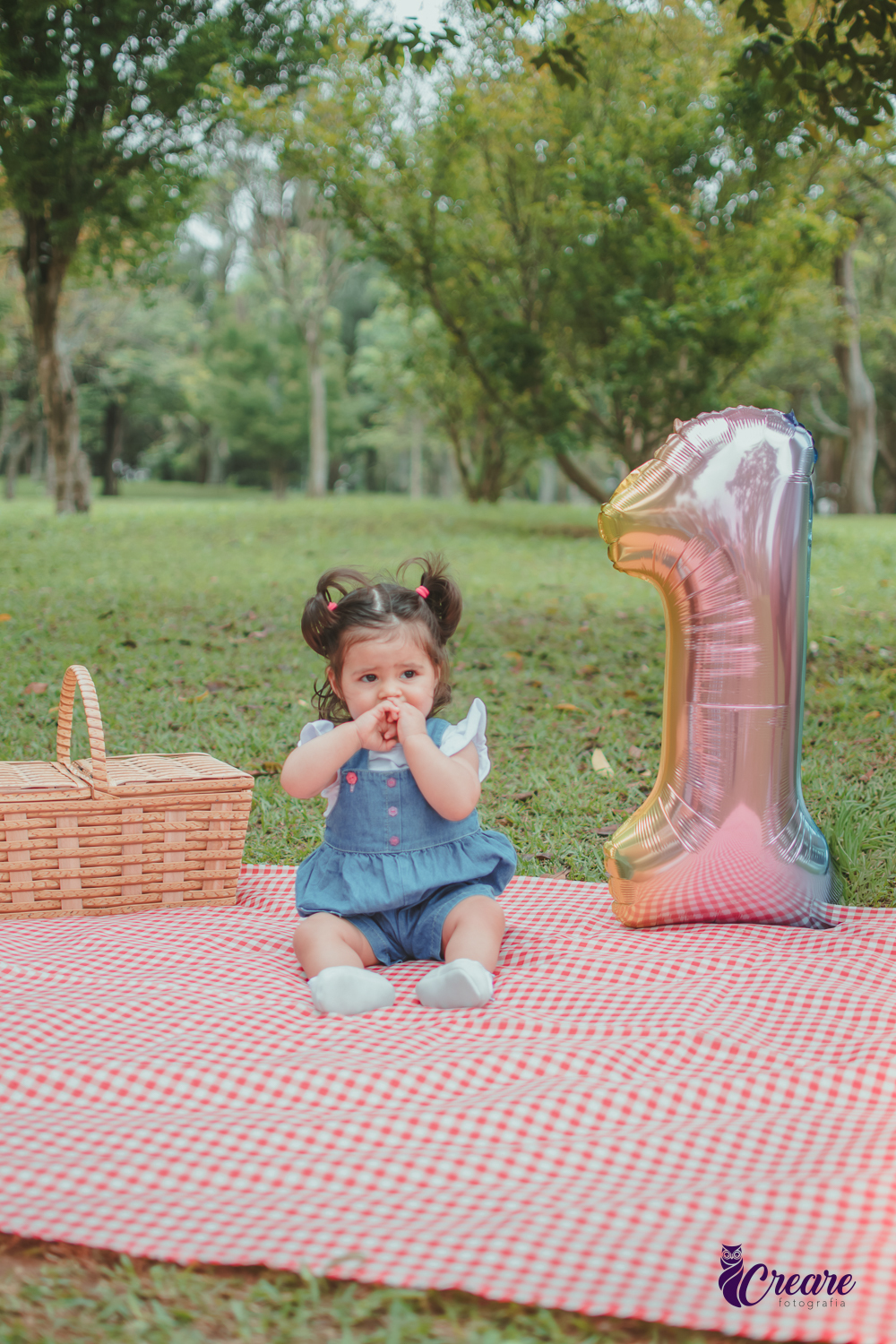 Bebê de jardineira azul sentada sobre uma toalha vermelha de piquenique, ao lado de um balão de número 1 e uma cesta de piquenique, durante a comemoração de seu primeiro aniversário no Parque Central de Santo André.