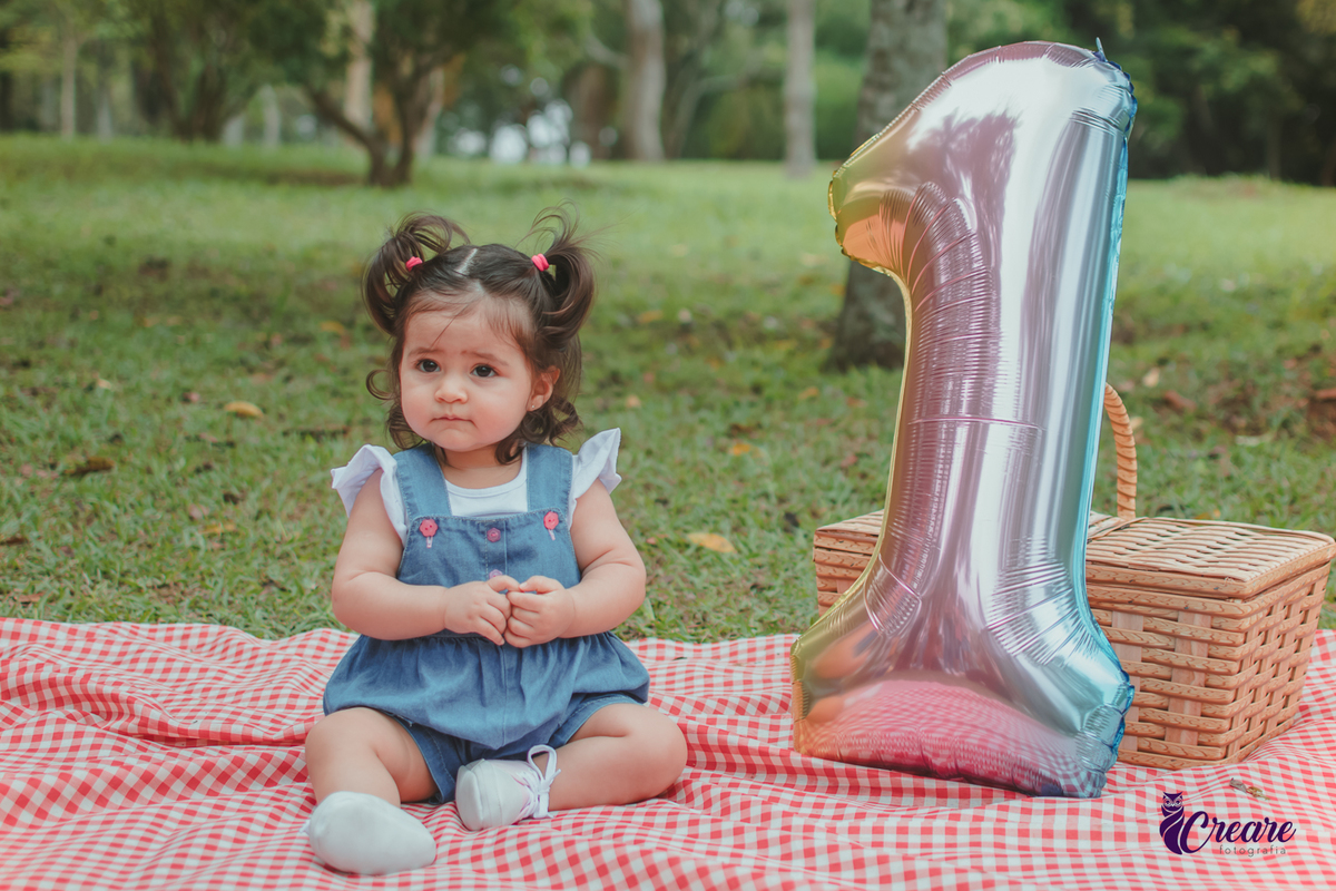 Bebê de jardineira azul sentada sobre uma toalha vermelha de piquenique, ao lado de um balão de número 1 e uma cesta de piquenique, durante a comemoração de seu primeiro aniversário no Parque Central de Santo André.