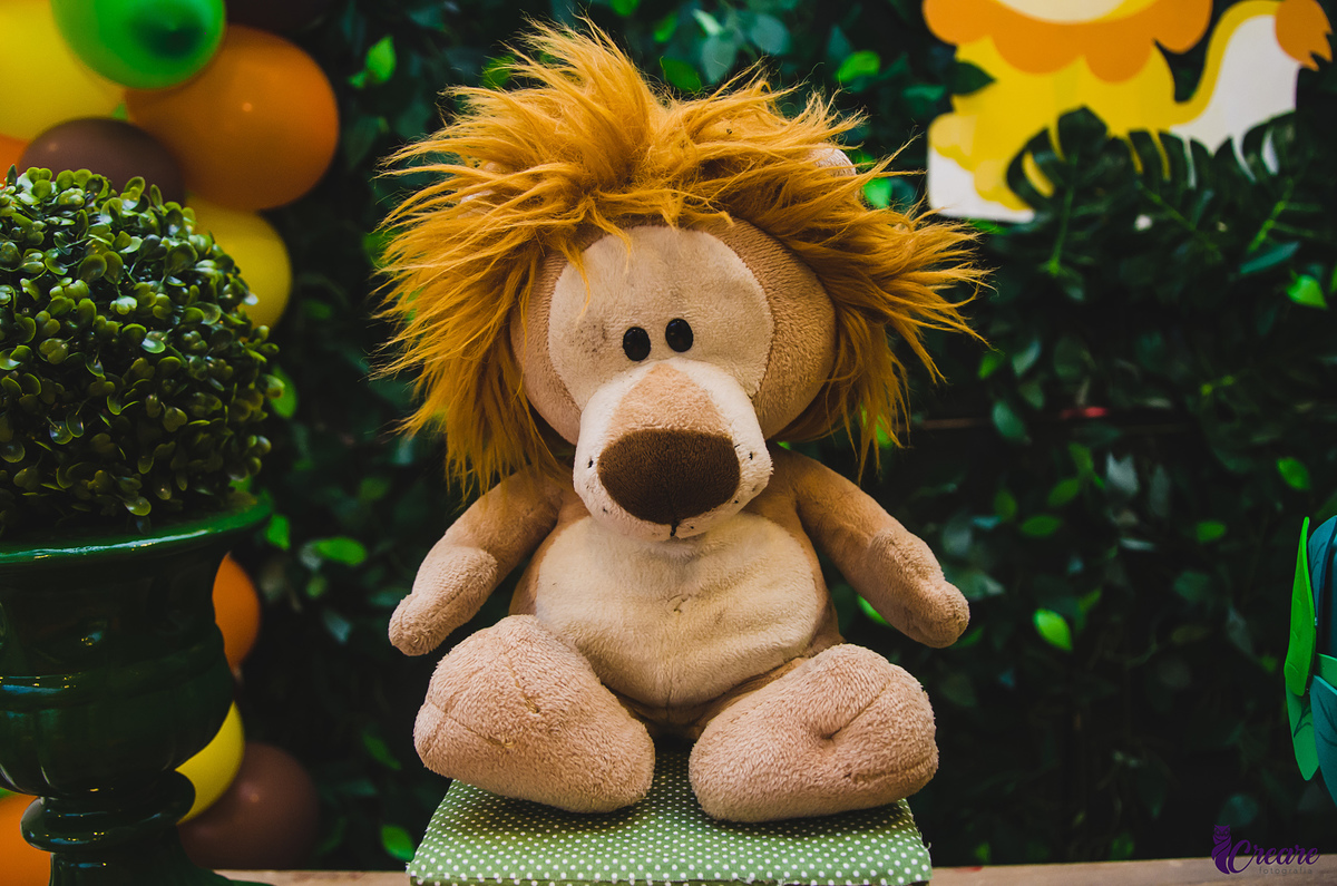 fotografia de chá de fraldas, decoração e eventos. tema safari. fotografia espontânea, de família. gestante. 