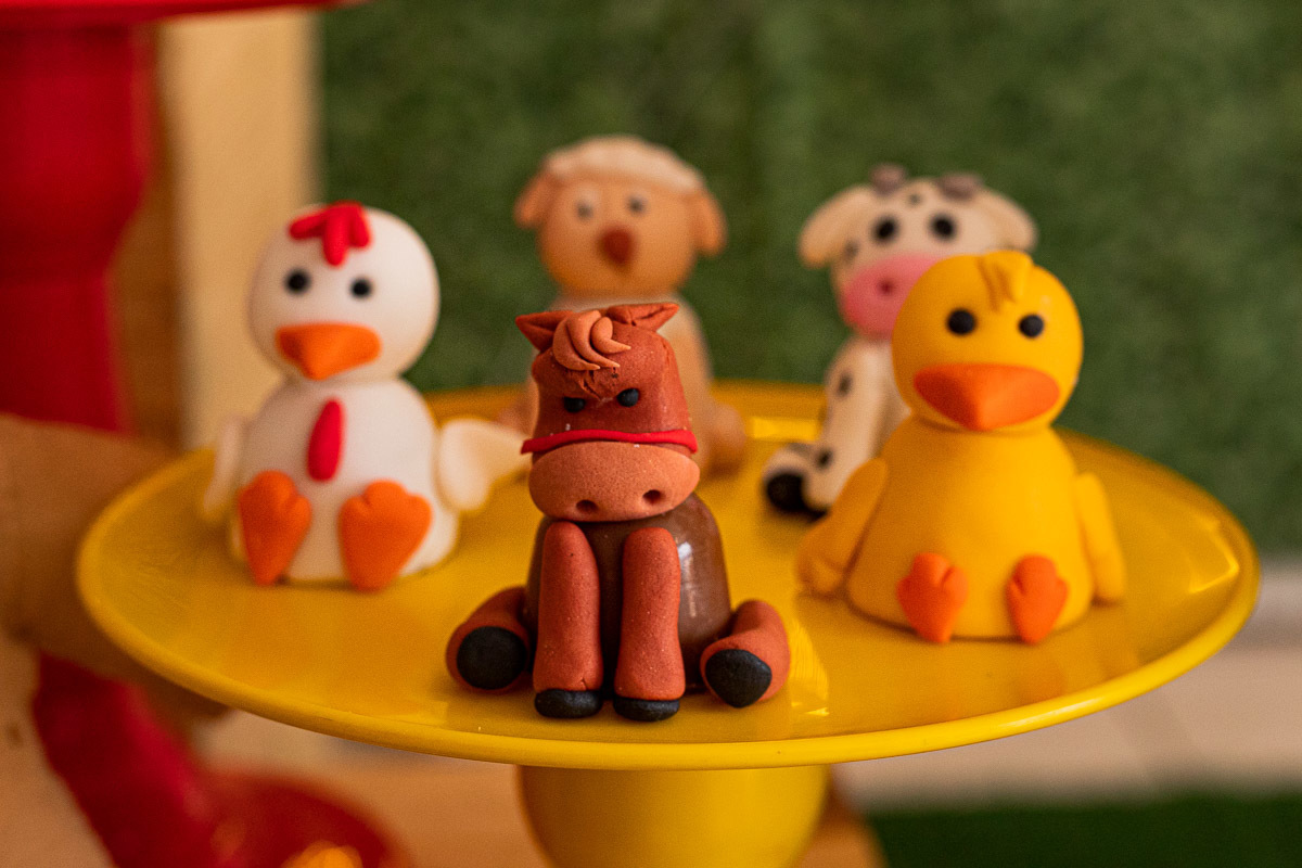 Fotografia de Aniversário Infantil, tema fazendinha, Fotografia Documental de família, fotografia de aniversário Rio de Janeiro