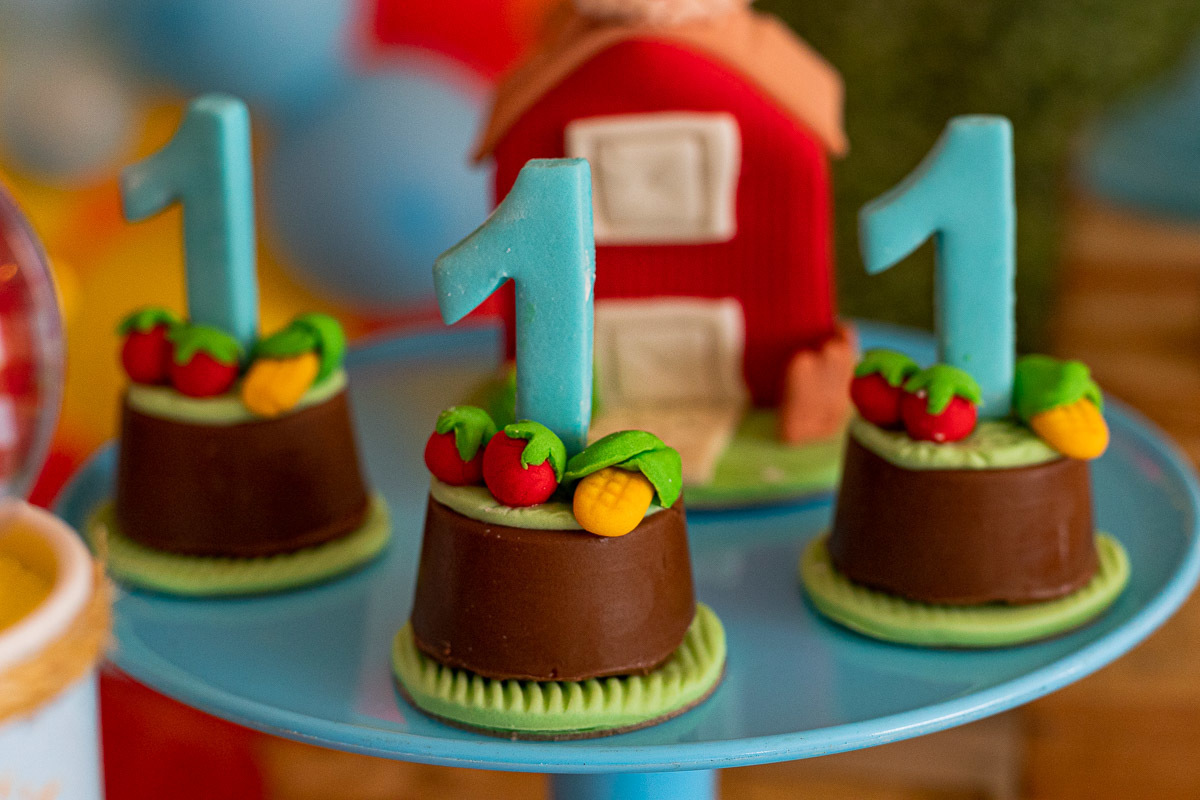 Fotografia de Aniversário Infantil, tema fazendinha, Fotografia Documental de família, fotografia de aniversário Rio de Janeiro