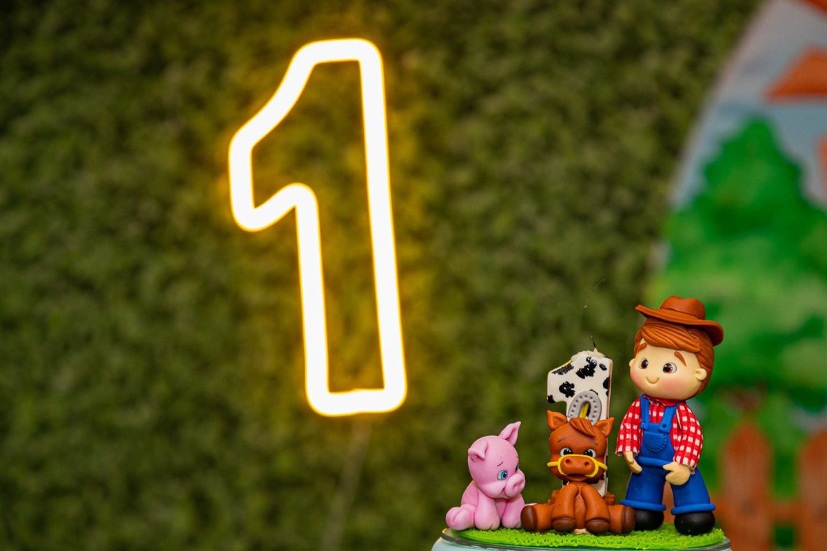 Fotografia de Aniversário Infantil, tema fazendinha, Fotografia Documental de família, fotografia de aniversário Rio de Janeiro